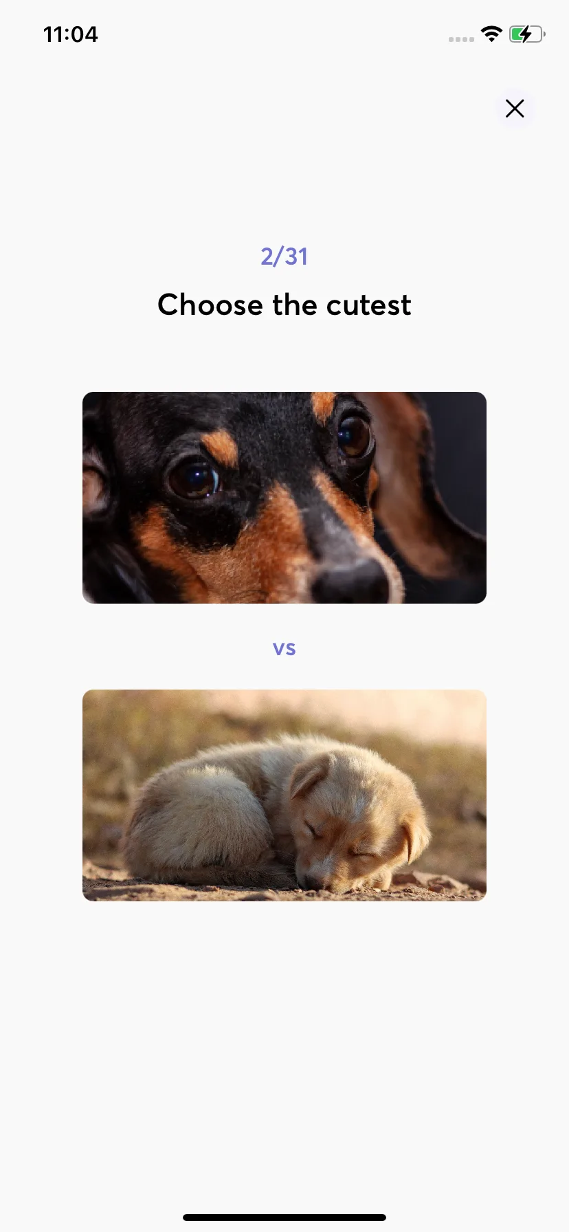 Test Image 8